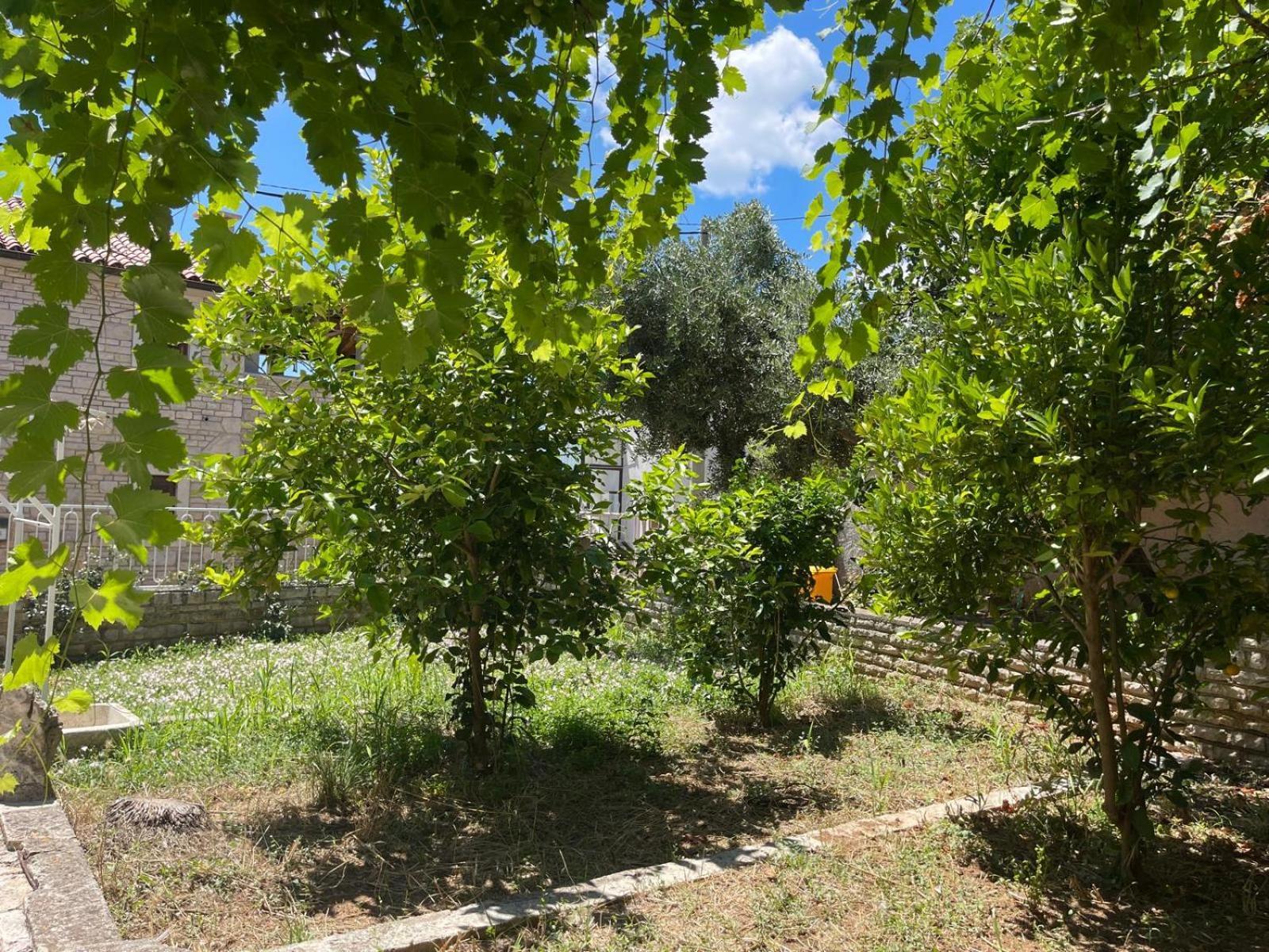 Villa Giulia Liznjan Exterior photo